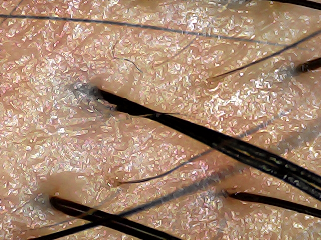 20241214-093910-799.jpg