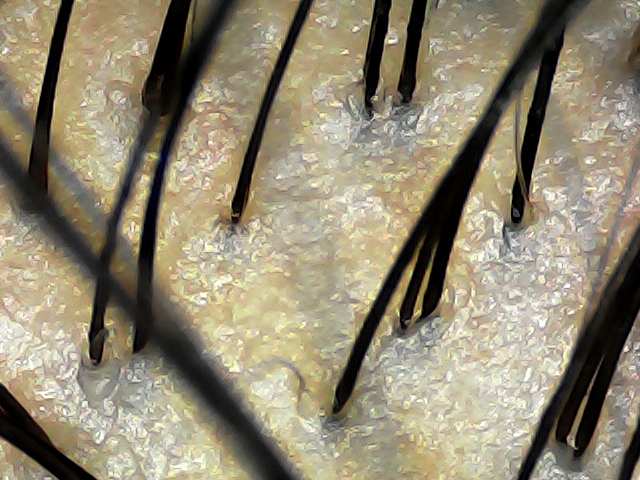 20241214-093958-153.jpg