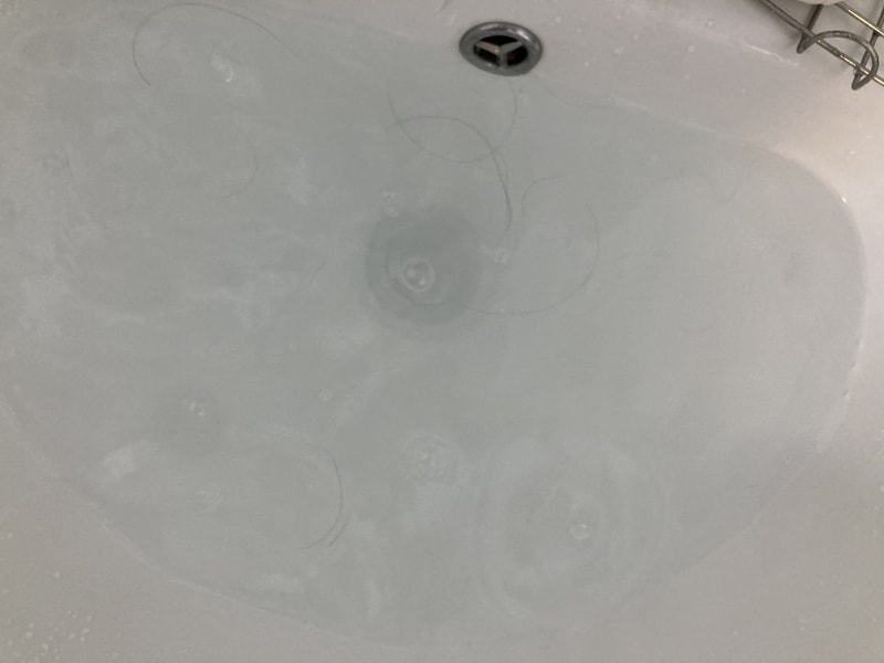 03533FBE-2693-4D08-B829-B931B0AA8831.jpeg