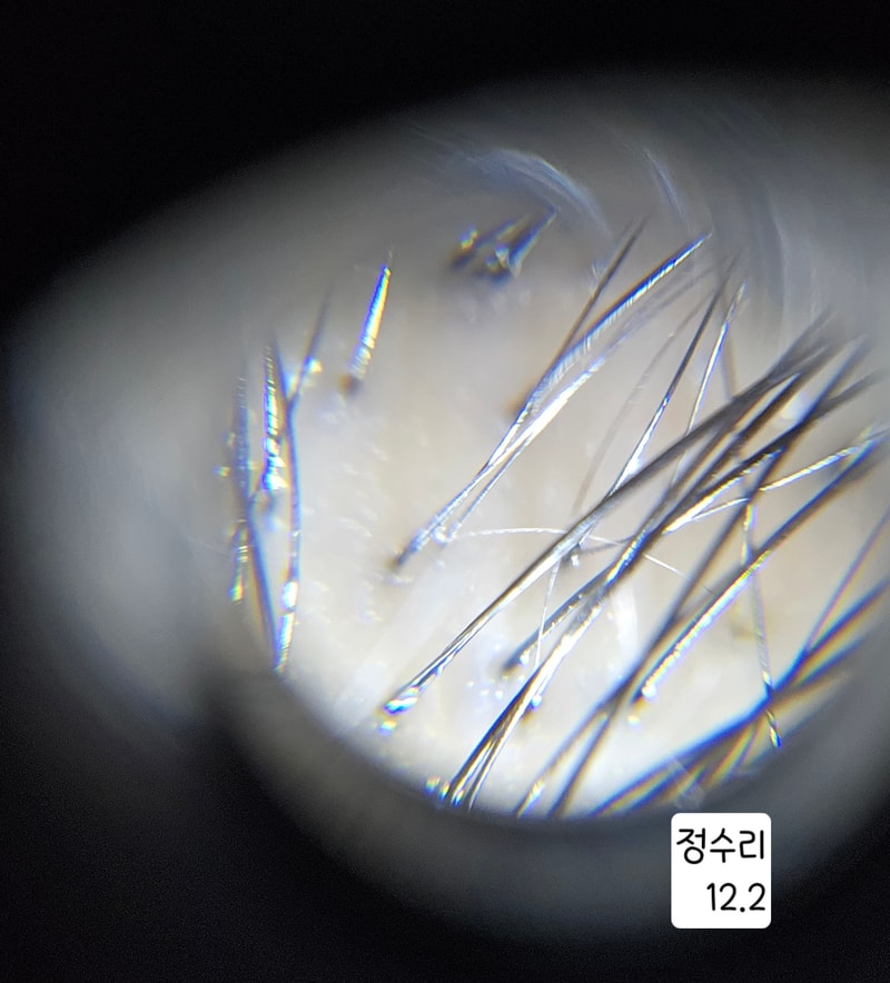 KakaoTalk_20241202_224731132_02.jpg