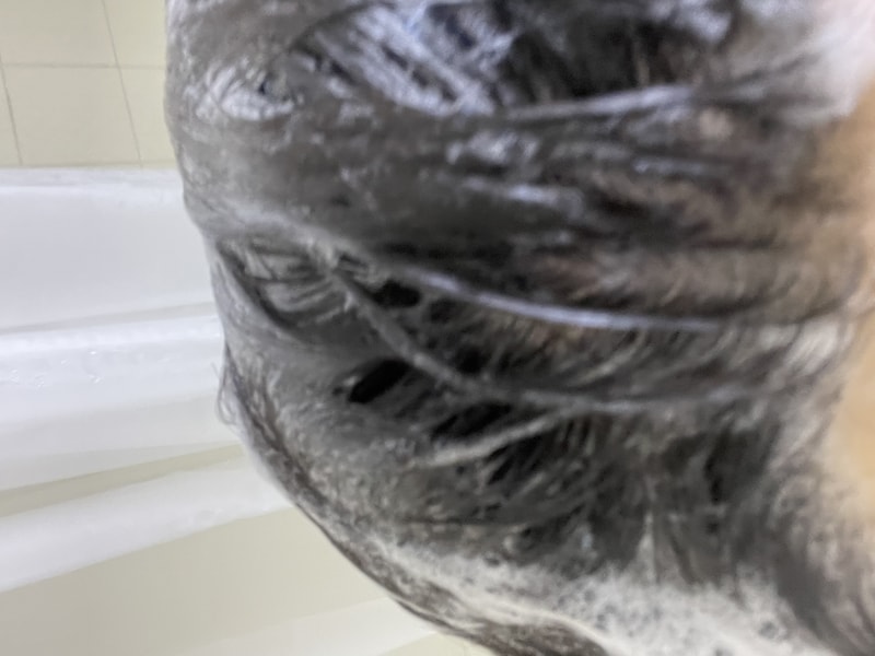 5BDAF531-416B-4312-88D8-04C2DBED1B66.jpeg