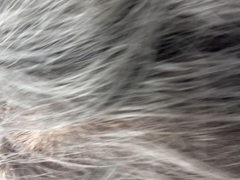 IMG_9417.jpeg