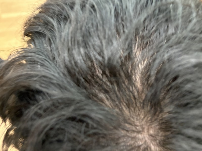 IMG_5310.jpeg
