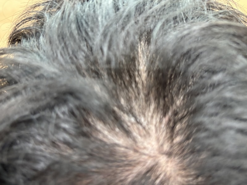 IMG_5311.jpeg