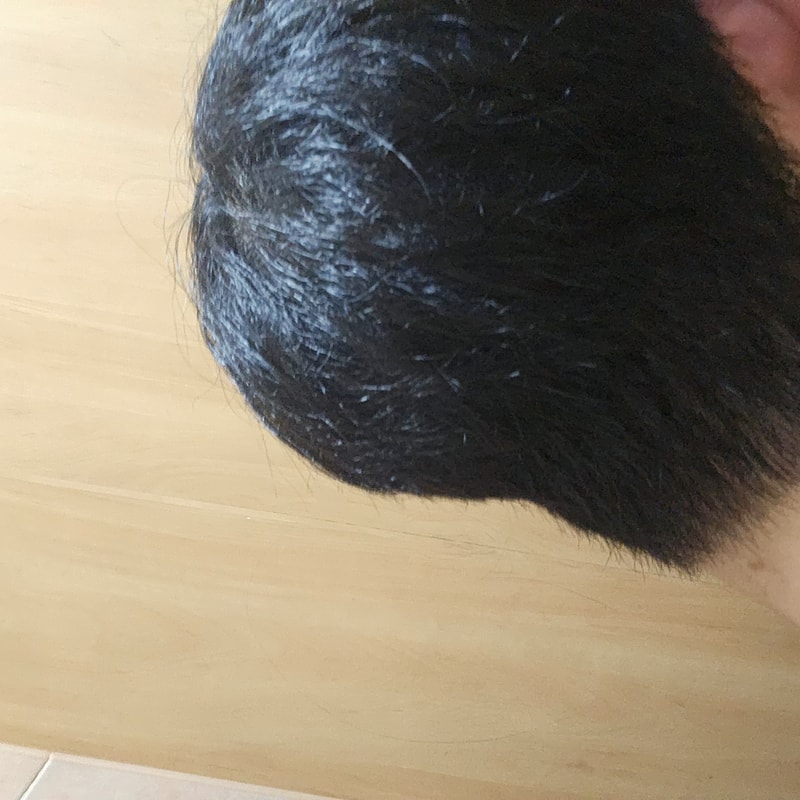 20250618_164409.jpg