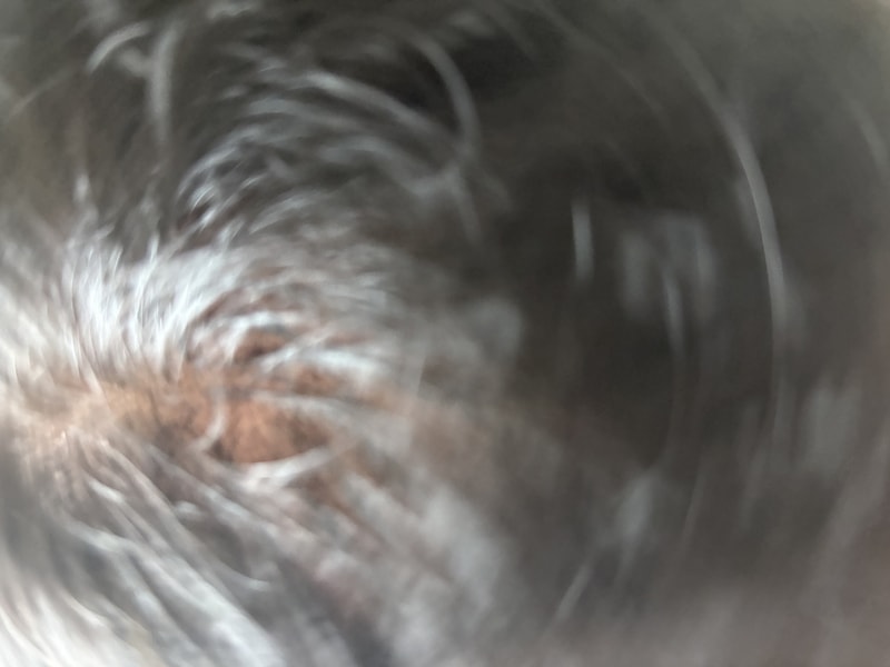 IMG_6823.jpeg