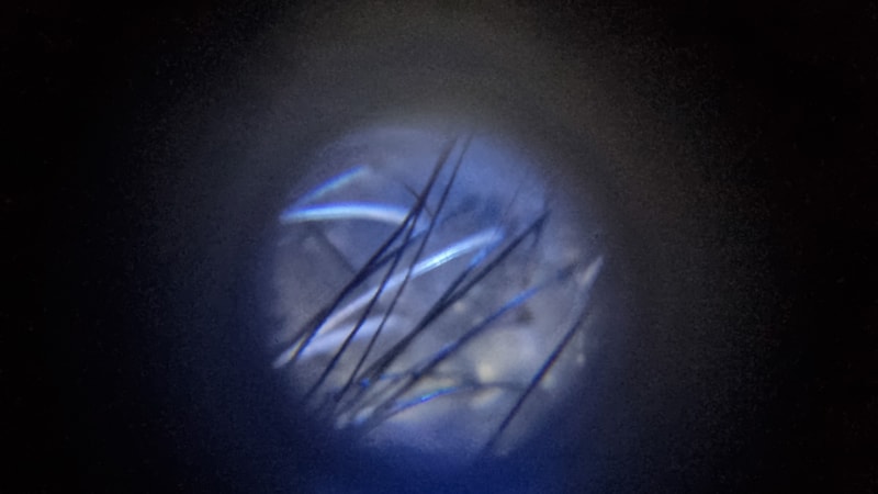 20241130_025325.jpg