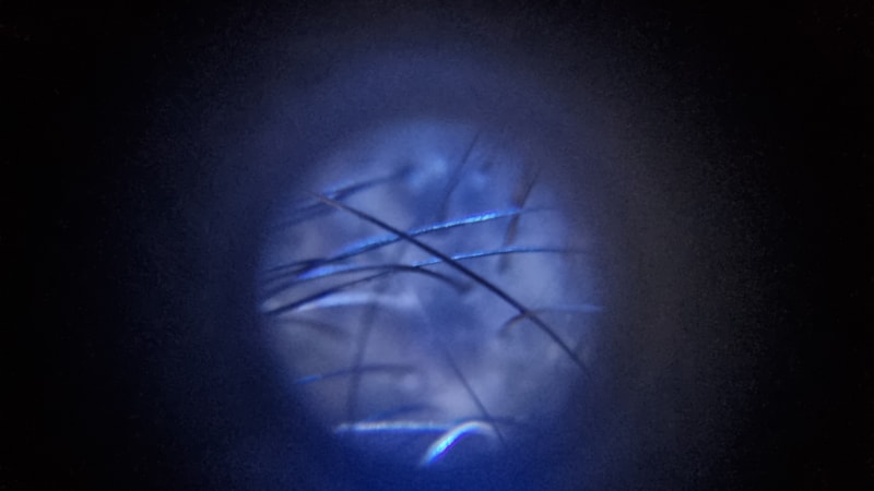 20241130_025253.jpg