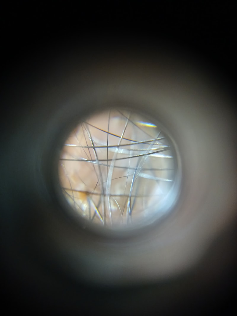 IMG_6728.jpeg