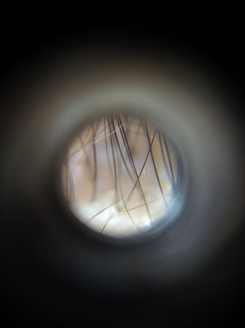 IMG_6730.jpeg