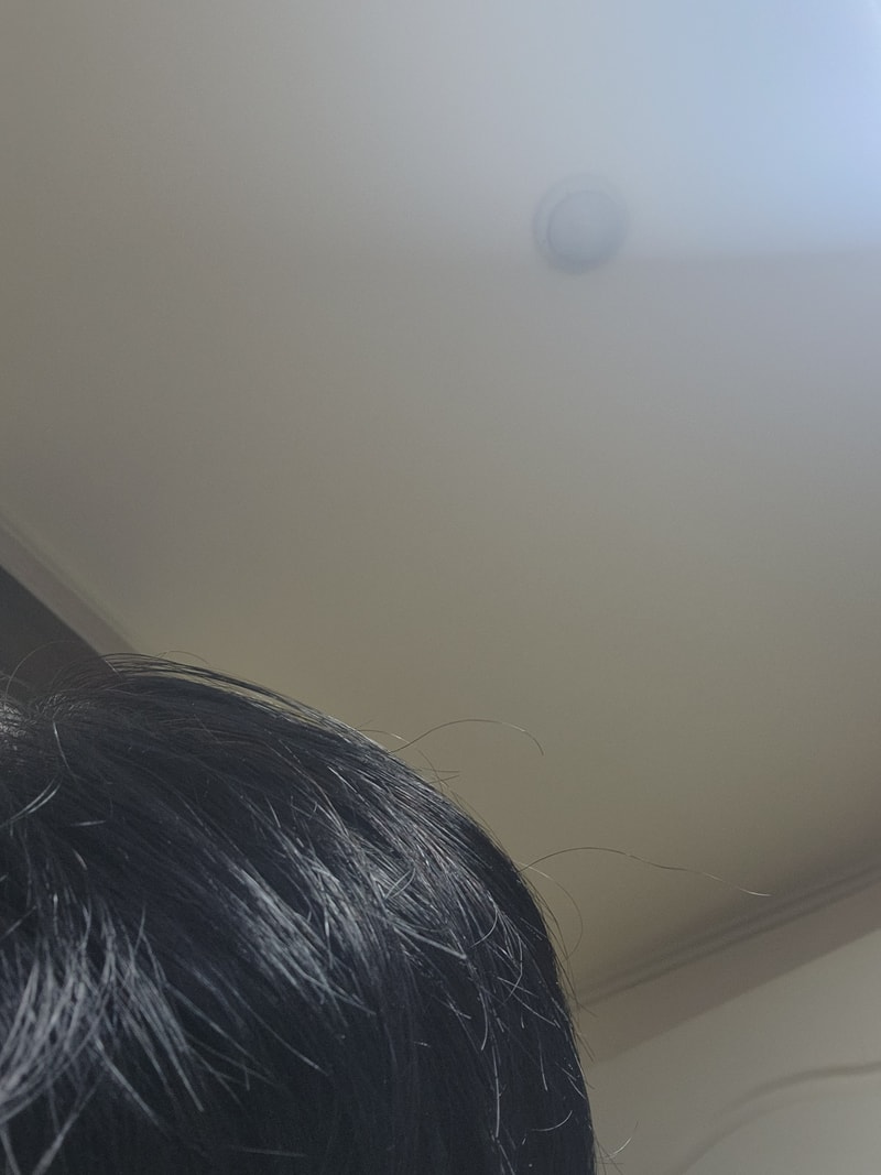 17893002663006498840903474365535.jpg
