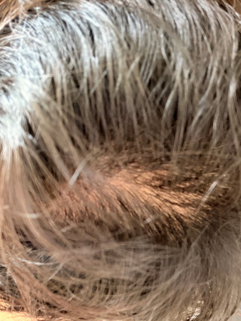 IMG_3185.jpeg
