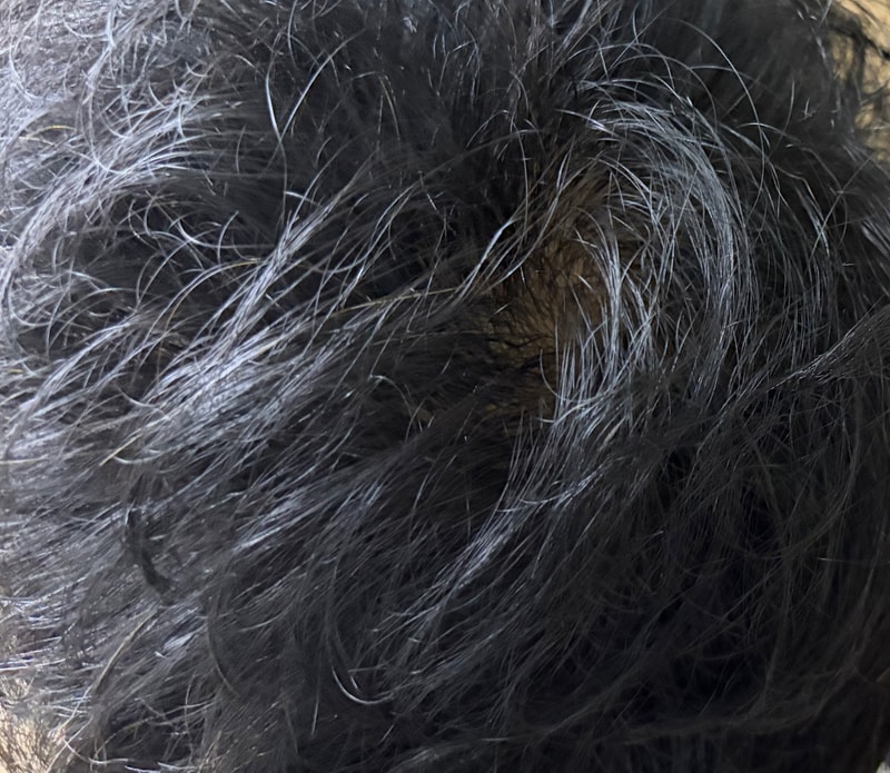 IMG_3237.jpeg
