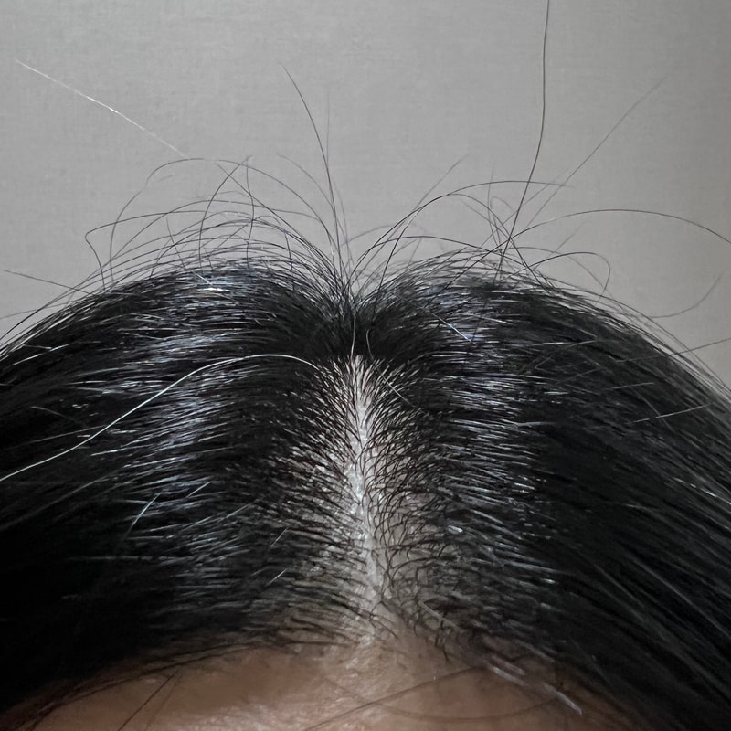 2주차. 순하게 채워지는 일상 속 잔잔한 활력