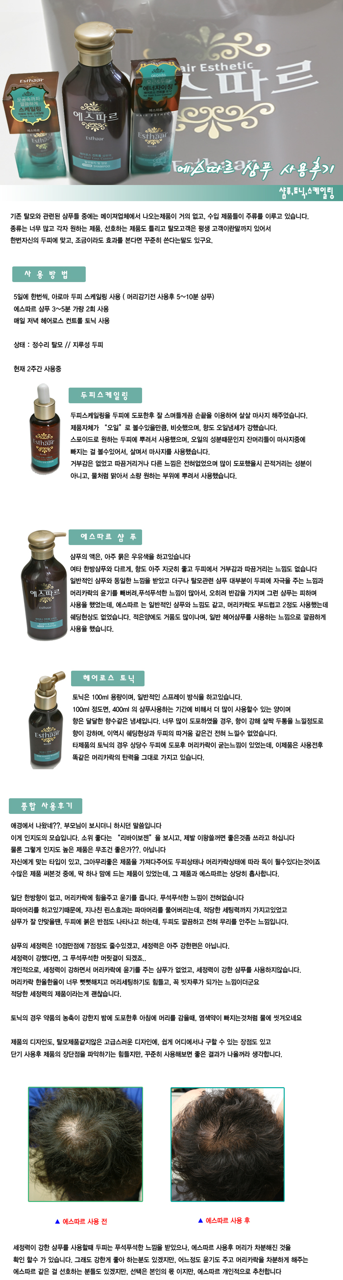 에스따르.jpg
