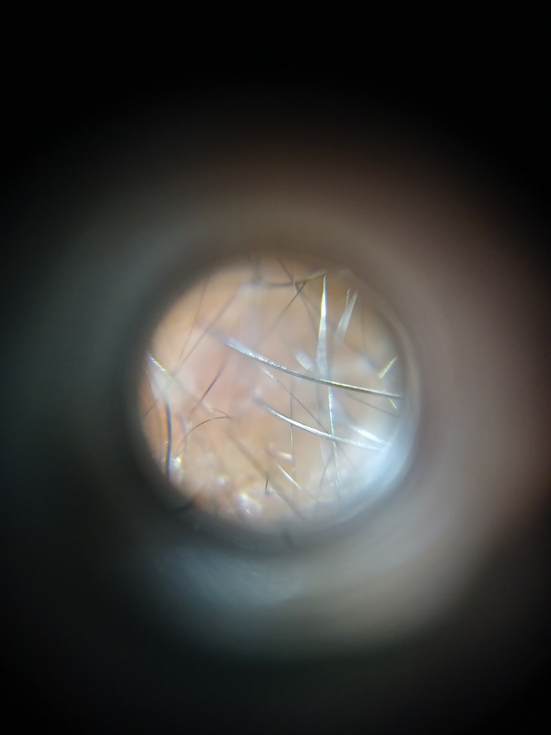 IMG_6729.jpeg
