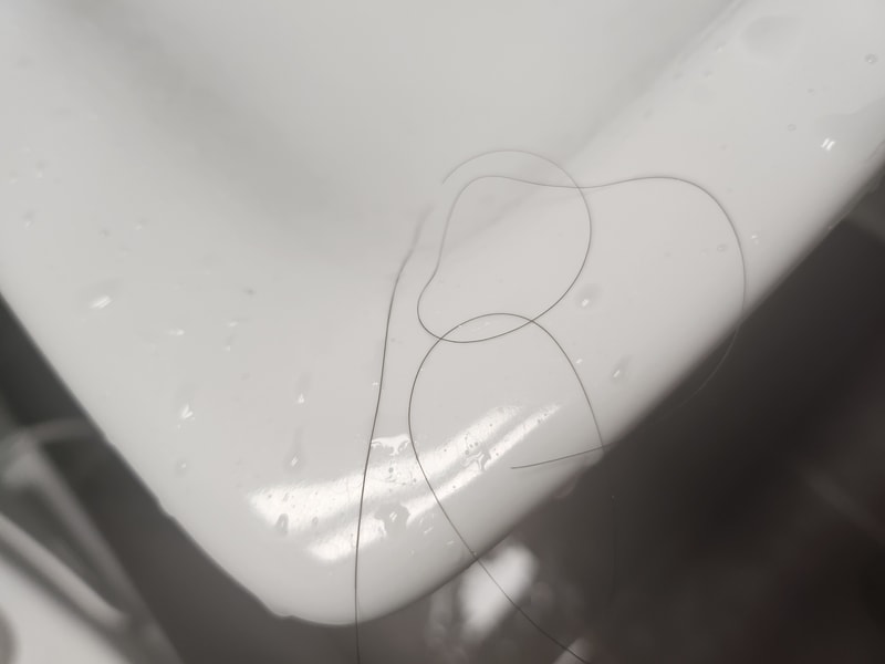20231026_103911.jpg