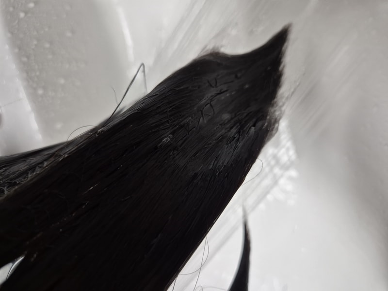 20240902_115006.jpg
