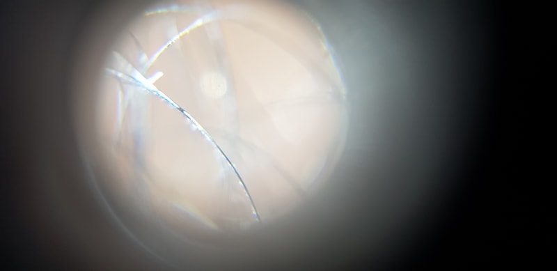 20241129_221347.jpg