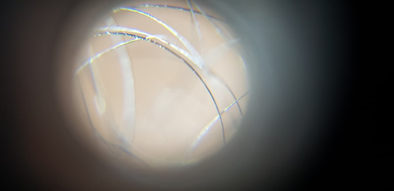 20241129_221345.jpg