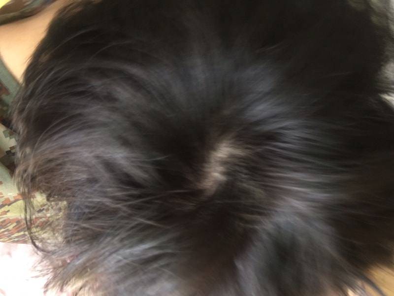 KakaoTalk_20230420_141737190_01.jpg