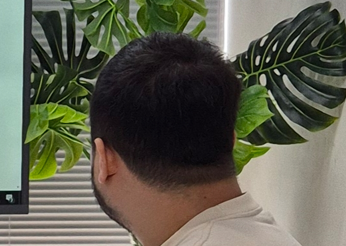 다모.jpg