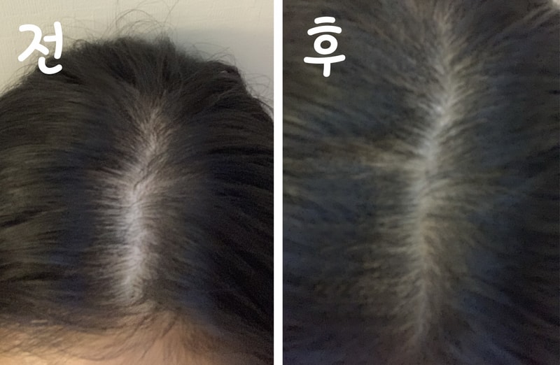 지니 글정수리_통합.jpg