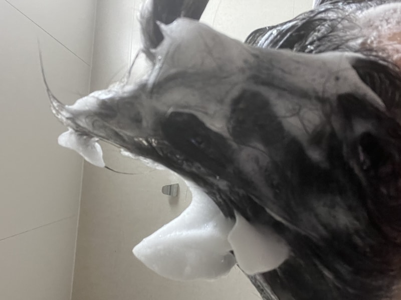 IMG_0611.jpeg