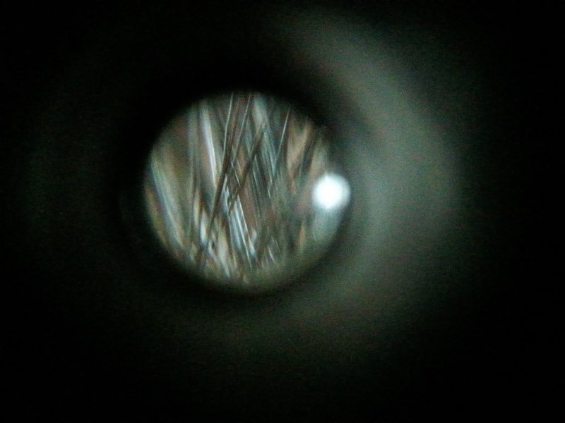 20241126_120508.jpg