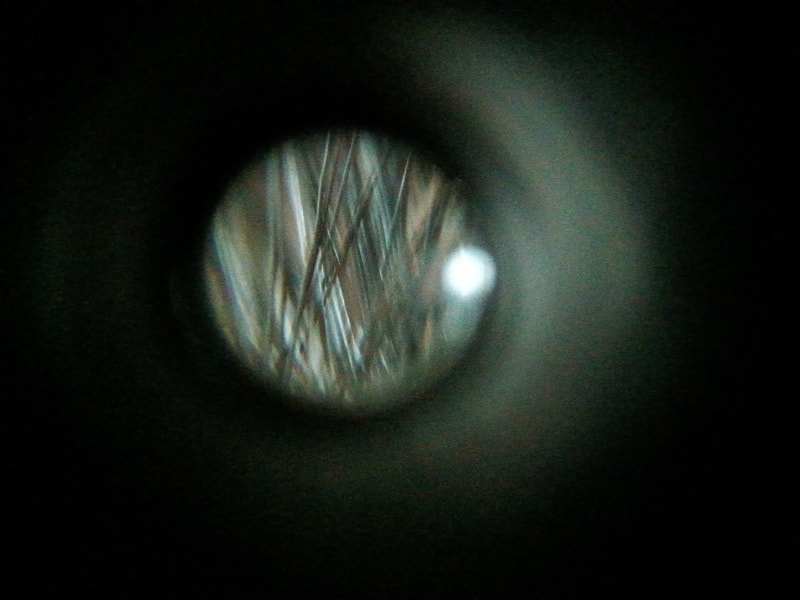 20241126_120508.jpg