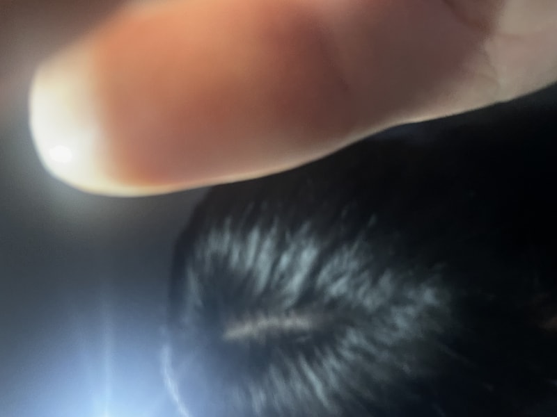 IMG_1943.jpeg