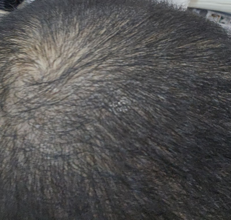 20251113_171158.jpg