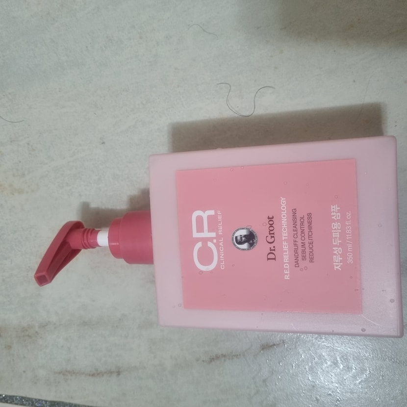 샴프사진