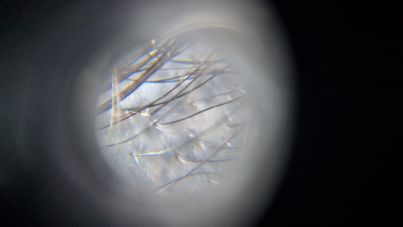 20250601_222400.jpg