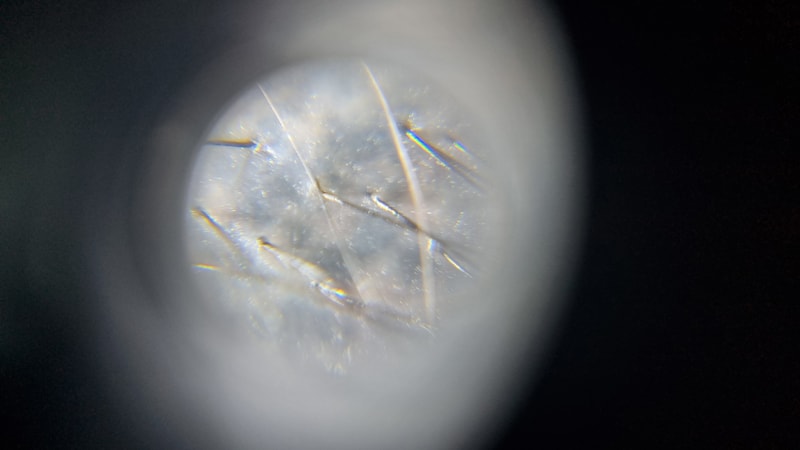 20250601_222705.jpg