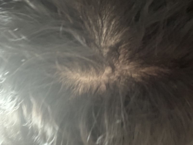 IMG_4081.jpeg