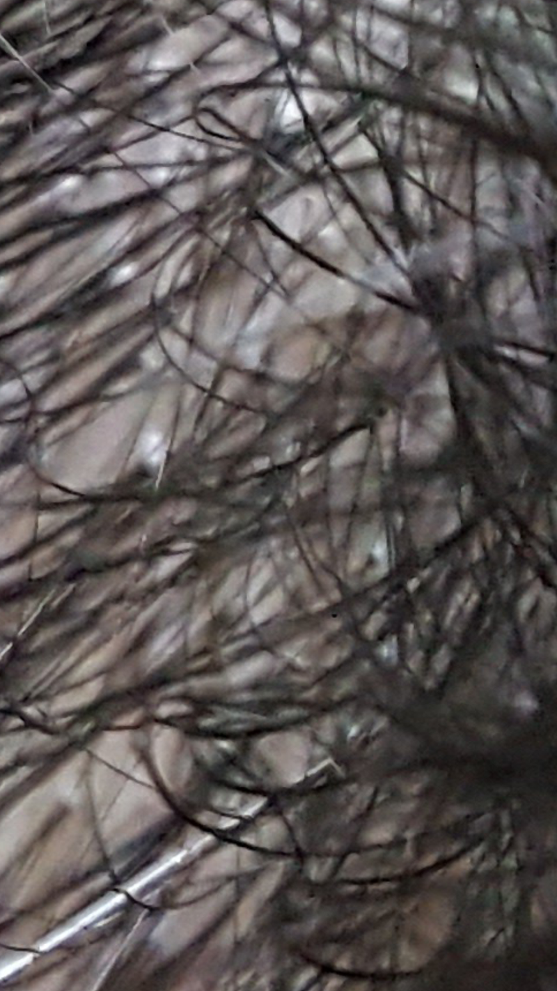 Screenshot_20230203-163644.png
