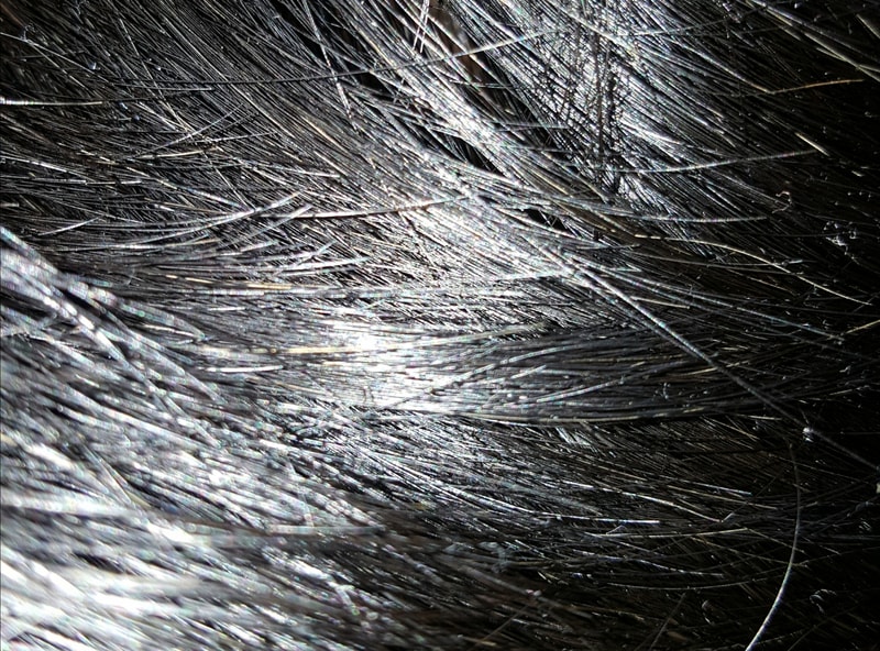 20230126_194709.jpg