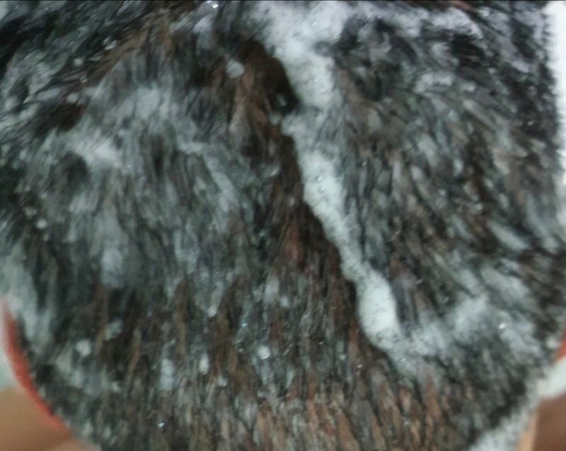 20220529_195613.jpg