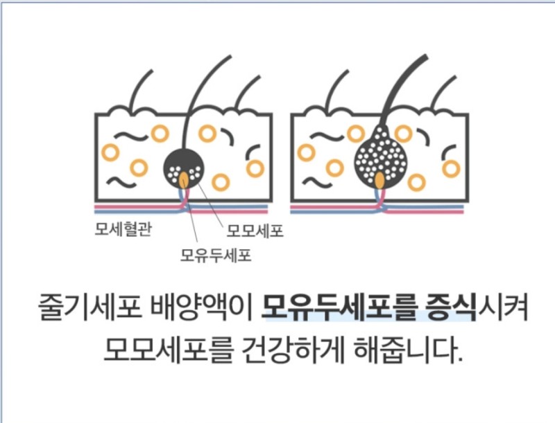 Screenshot＿20230622＿170411＿Samsung_Internet.jpg