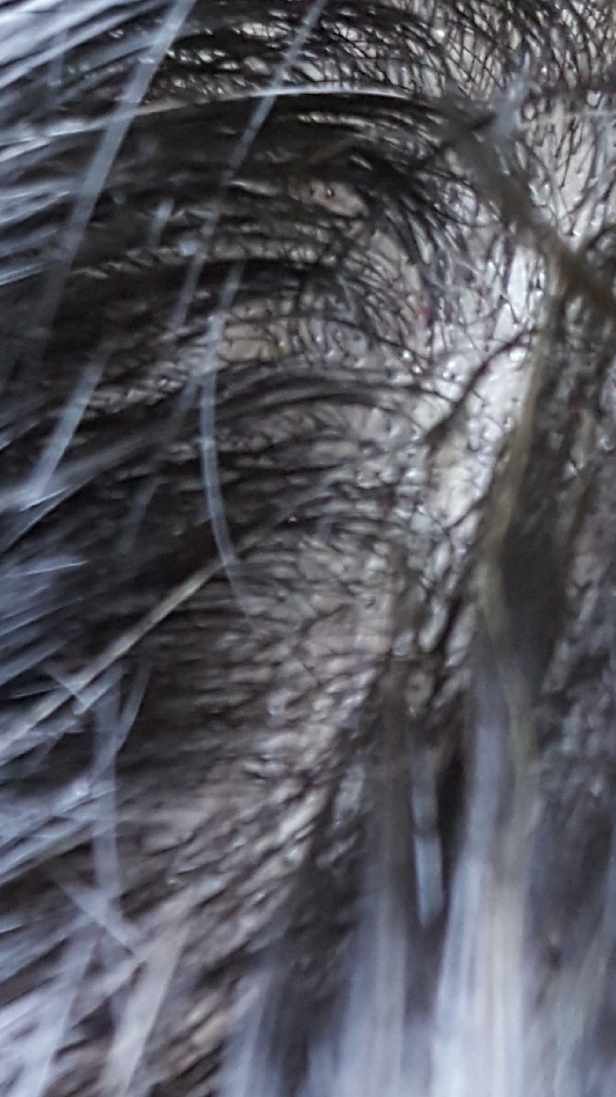 20230113_135451.jpg