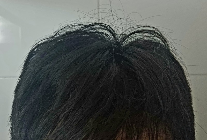 20230919_164519.jpg