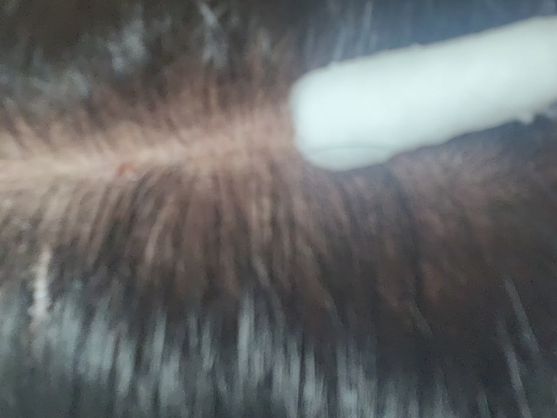 1000007334.jpg