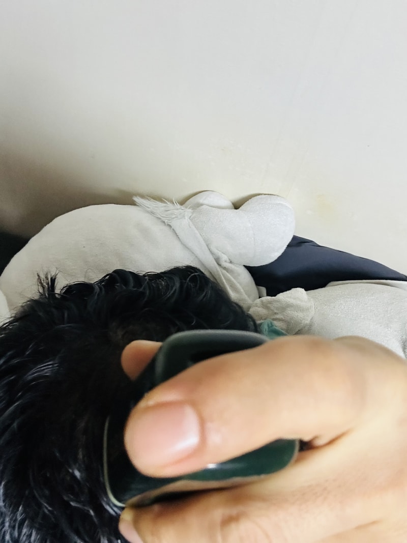 IMG_8827.jpeg