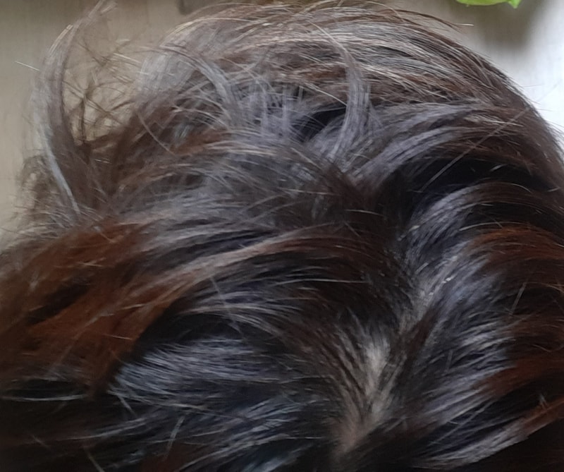 20230903_190216.jpg