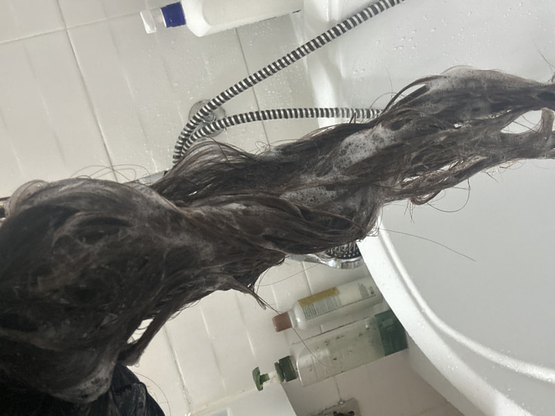 IMG_3765.jpeg