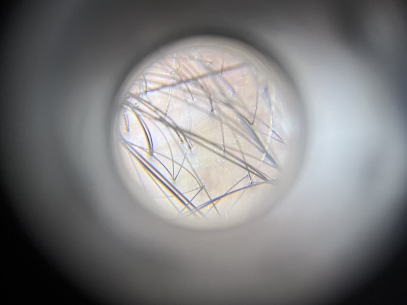 IMG_3765.jpeg