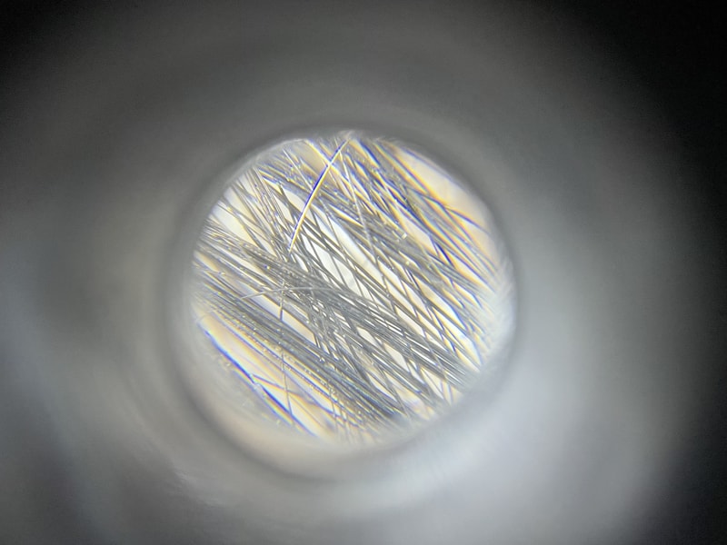 IMG_3867.jpeg