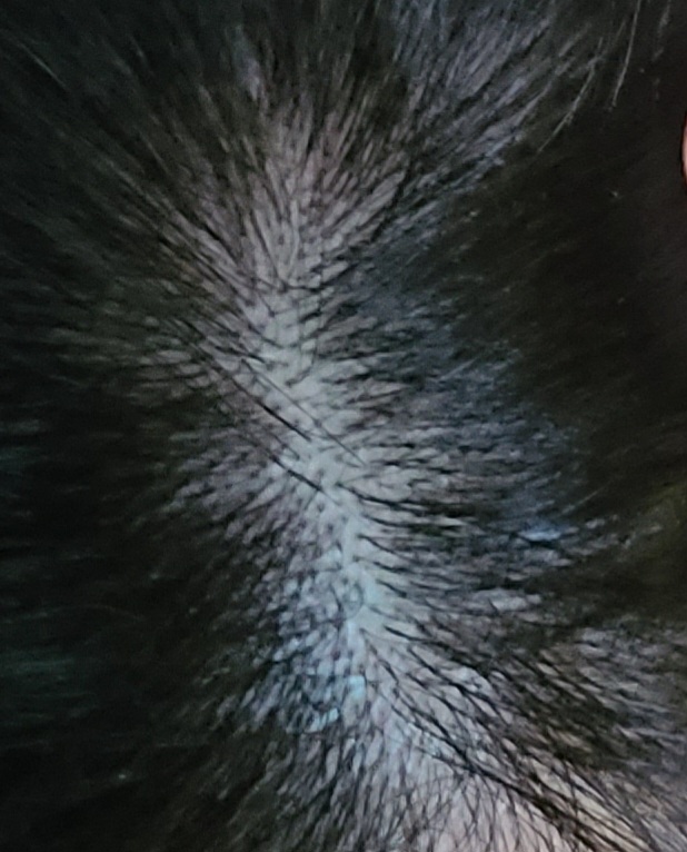 20250927_104616.jpg