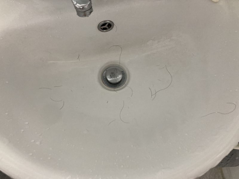5499D02A-214D-4879-845D-E630F774CBBD.jpeg